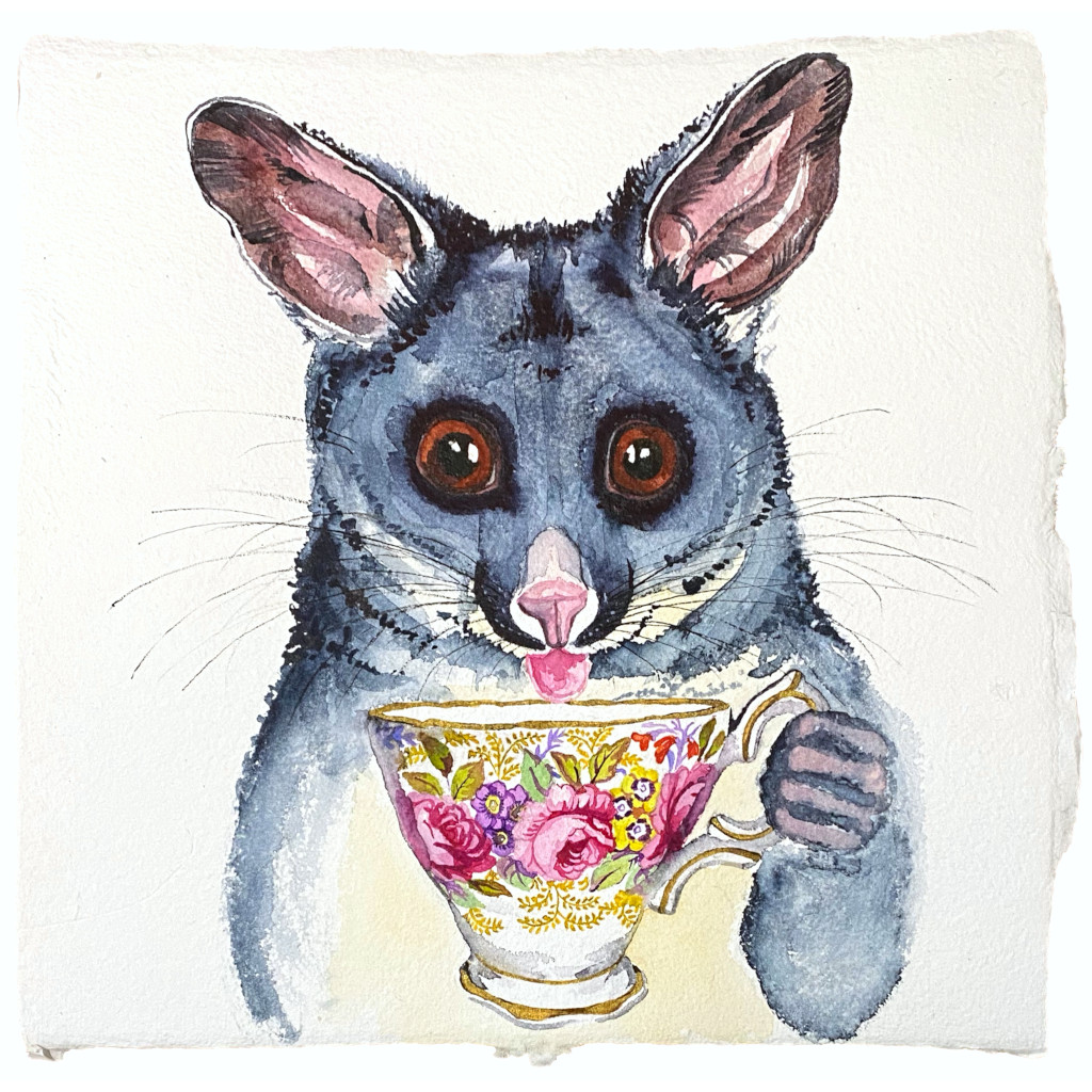 RoseBlossomPossumWeb